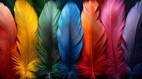 Vibrant multicolored feathers arranged in row against dark background showcase spectrum of red, yellow, green, blue, orange, pink and purple plumes with detailed texture.