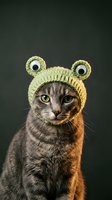 Adorable tabby cat wearing green knitted frog hat with googly eyes on dark background for pet costume and humor concepts.