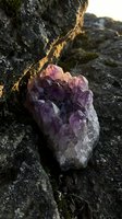 Purple amethyst crystal cluster on weathered rock surface with golden sunlight creating natural spiritual healing energy and meditation atmosphere.