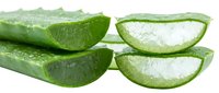 Aloe vera plant sliced in half showing fresh green skin and translucent gel interior, isolated on white background for cosmetic and skincare product design use.