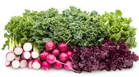 Fresh organic vegetables in row - radishes, kale and purple lettuce on white background. Healthy eating concept for food photography and design.