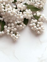 White snowberry branches with green leaves on marble background, creating elegant botanical composition with copy space for wedding stationery and seasonal designs.