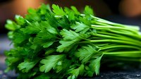 Fresh green parsley bunch with vibrant leaves and stems on dark background, perfect for cooking and food photography.