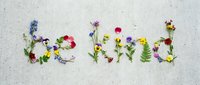 Be kind lettering made of colorful wildflowers and green leaves arranged on a light concrete surface, spreading a positive message.