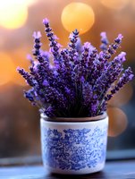 Fresh lavender bouquet in vintage blue and white ceramic pot against warm sunset bokeh background, creating peaceful aromatic atmosphere for spa and wellness design.
