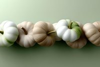 White and beige pumpkins arranged in line on green background, creating minimalist autumn composition with soft shadows and gentle color transitions.