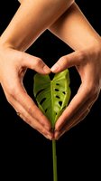 Caucasian female hands forming a heart shape around a green monstera leaf, isolated on transparent background, ready for eco, nature, and wellness designs.