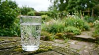 Clear glass of sparkling water with bubbles on rustic wooden surface in lush green garden setting for healthy lifestyle and refreshment concepts.