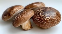 Fresh brown shiitake mushrooms with distinctive crackled pattern on caps against white background, showing natural texture and culinary ingredients.