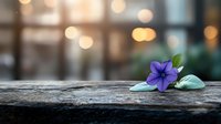 Single purple flower with green leaves on rustic wooden surface against blurred bokeh background creates serene natural atmosphere for wellness and spa designs.