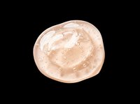 Beige cosmetic cream or foundation sample with swirled texture isolated on transparent background, ready for beauty product design, packaging, and print-on-demand use.