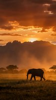Majestic elephant silhouette walking across golden savanna grassland at dramatic sunset with mountain backdrop and acacia trees in warm orange light.