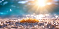 Vibrant orange moss growing on sandy beach at sunrise with bokeh light effects and sunburst, macro nature photography showing tranquil coastal scene.