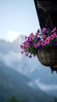 Purple and pink petunias in wicker hanging basket on wooden balcony with mountain landscape background for home garden decoration and outdoor living.