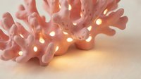 Pink coral branch with warm LED string lights creating cozy ambient lighting on neutral background for home decor and interior design projects.