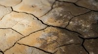Cracked and dried earth surface with deep fissures showing parched soil texture, suitable for environmental and drought-related content.