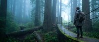 Hiker with backpack standing on wooden bridge pathway through misty old-growth forest with tall trees and fallen logs, suitable for travel and adventure content.