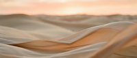 Smooth sand dunes with warm golden and cream tones create an abstract desert landscape. Soft shadows and flowing curves suggest wind-sculpted terrain, suitable for backgrounds and nature designs.