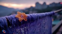 Orange flower resting on wet purple fabric with water droplets against blurred mountain sunset background, creating serene atmospheric mood.