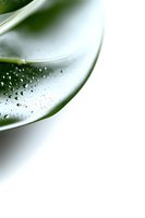 Macro shot of water droplets on curved glass surface with green reflection and white background, creating minimalist abstract composition for wellness and spa designs.
