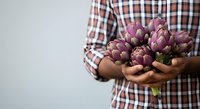 Fresh purple artichokes held in hands of farmer wearing checkered shirt, showcasing organic produce for culinary and agricultural use.