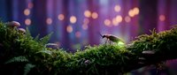 Tiny ant walking on vibrant green moss with magical bokeh lights creating dreamy purple and golden atmosphere for nature and wildlife concepts.