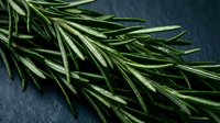 Fresh rosemary sprigs with vibrant green needles arranged on dark slate surface, suitable for culinary, food styling, and cooking-related projects.