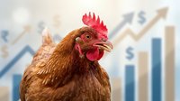 Brown rooster with red comb against blurred financial growth chart background with upward arrows and dollar signs, symbolizing business success and market growth.