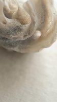 Creamy beige facial cleanser foam with rich bubbles for skincare routine and beauty treatment applications.