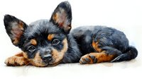 Watercolor style portrait of resting Lancashire Heeler puppy with black and tan markings, lying down on white background, artistic pet illustration.