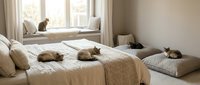 Cozy bedroom interior with multiple cats relaxing on bed and window seat in warm natural light creating peaceful domestic atmosphere.