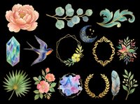 Watercolor botanical clipart set with flowers, bird, crystal, frames, and leaves, isolated on transparent background. Ready for stickers, t-shirt design, and print on demand.