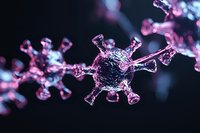 Microscopic view of pink virus cell structure with spiky protein surface against dark background, scientific molecular visualization showing detailed pathogen anatomy.