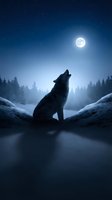 Wolf howling at full moon in winter forest landscape with snow-covered trees and starry night sky creating mystical wilderness atmosphere for nature photography.