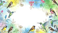 Colorful spring birds and flowers frame with hummingbirds, songbirds and blooming botanical elements creating decorative border on white background.