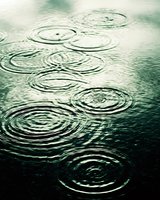 Concentric ripples forming on dark water surface during rainfall, creating mesmerizing circular patterns in moody green tones. Artistic nature photography.