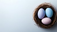 Pastel colored Easter eggs in natural bird nest on white background for spring holiday decorations and greeting cards.