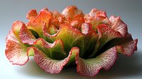 Macro photography of coral-colored ruffled lettuce leaves with delicate veining and textured edges against neutral background, showcasing organic patterns in fresh produce.