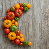 Colorful heirloom tomatoes in red, orange, yellow and green varieties arranged on rustic weathered wood background with copy space for text.