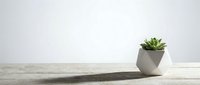 Succulent plant in geometric concrete pot on wooden surface against white wall, minimalist home decor and interior design element.
