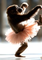 Young monkey wearing pink tutu performs graceful ballet pose in dramatic lighting, creating whimsical contrast between wild nature and refined dance art.