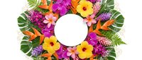 Vibrant tropical flower wreath with hibiscus, plumeria and exotic foliage arranged in circle with white center space for text or logo design.