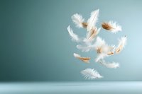 Soft white feathers floating gracefully through air against calm teal background creating peaceful weightless motion for wellness and freedom concepts.