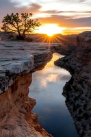 Dramatic sunset over winding river canyon with lone tree silhouette on cliff edge, golden sunburst illuminating rocky landscape and reflecting in calm waters below.