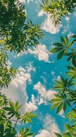 Tropical canopy view with lush green leaves framing bright blue sky and white clouds. Natural frame composition for travel and nature content.