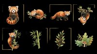 Watercolor red pandas in various poses with bamboo and foliage elements, isolated on transparent background. Great for stickers, clipart, t-shirt design, and print on demand.