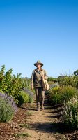 Mature male farmer in tan work shirt and wide-brimmed hat walking through lavender field rows on sunny day. Agricultural worker inspecting crops in rural countryside setting.