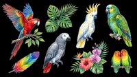 Colorful tropical parrots clipart set with macaw, cockatoo, lovebirds, African grey, feather, and tropical leaves, isolated on transparent background for stickers, t-shirt design, print on demand.