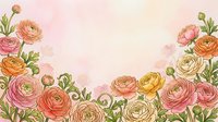 Colorful ranunculus flowers frame border on soft pink watercolor background with copy space for spring wedding invitations and romantic designs.
