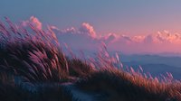Tall grass swaying in mountain breeze at sunset with pink purple sky and distant peaks creating serene natural landscape for outdoor adventure content.